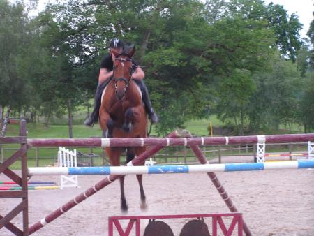 melu 1.60m